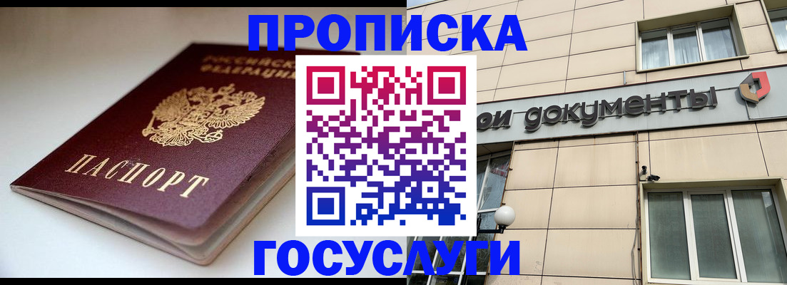 временная регистрация госуслуги в Приозерске